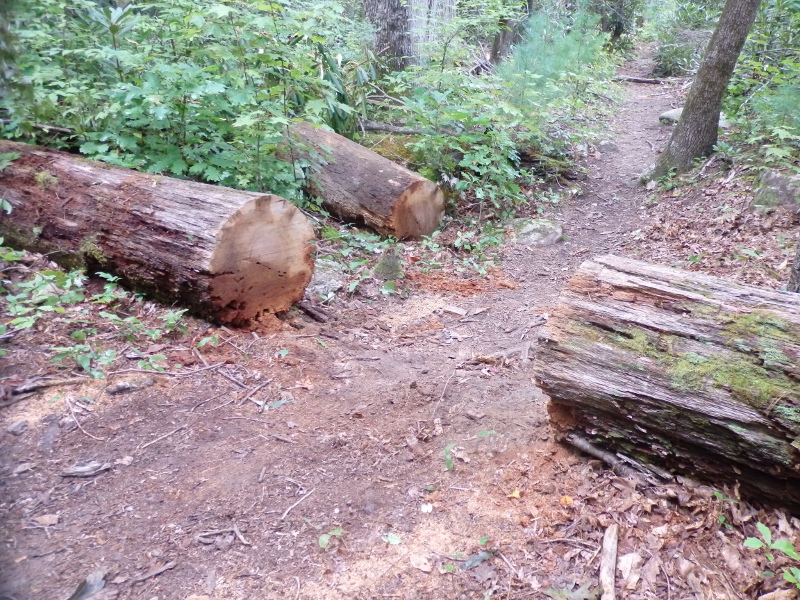 SAWS Linville Gorge Trail