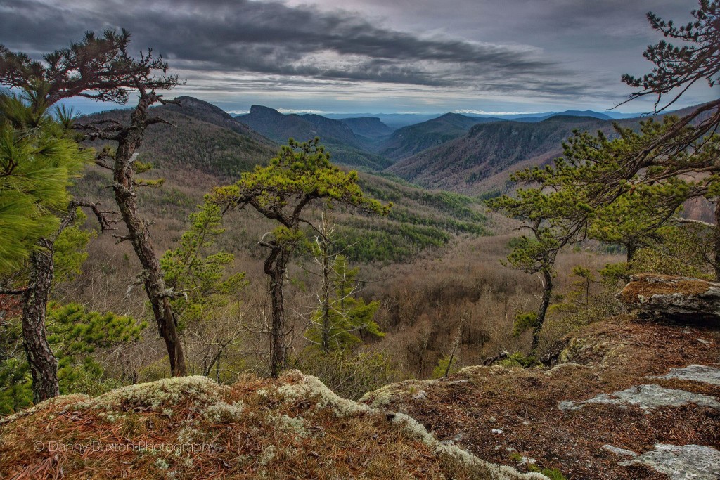 Celestial Point in Linville Gorge. (Photo: Danny Buxton)