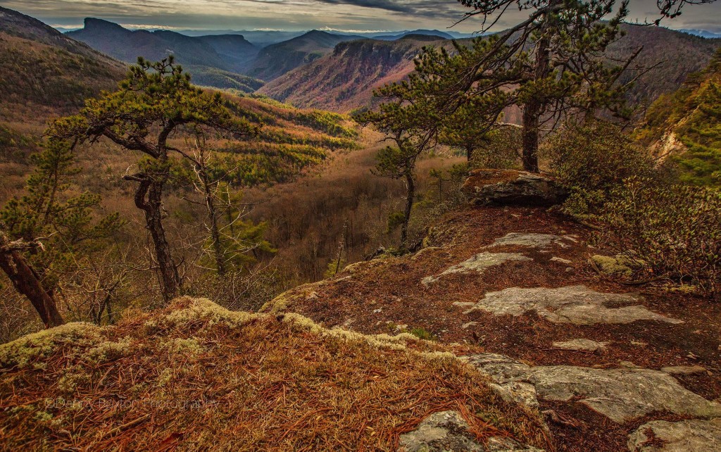 Celestial Point in Linville Gorge