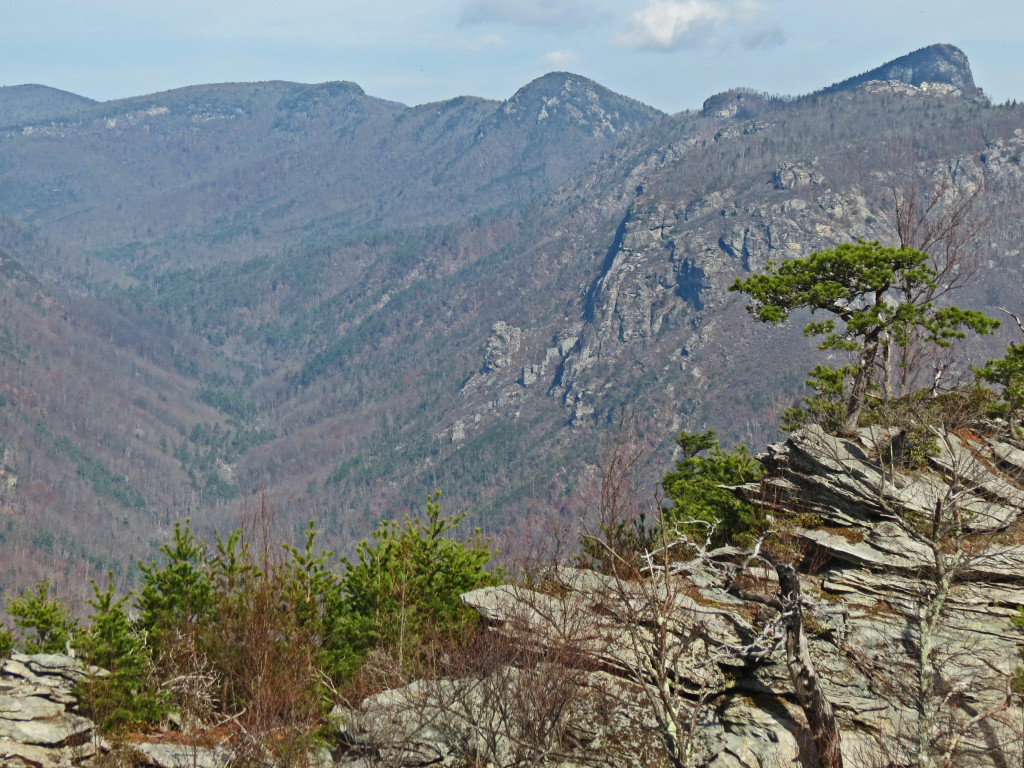 Looking north from Shortoff. (Photo: Rick Morris)