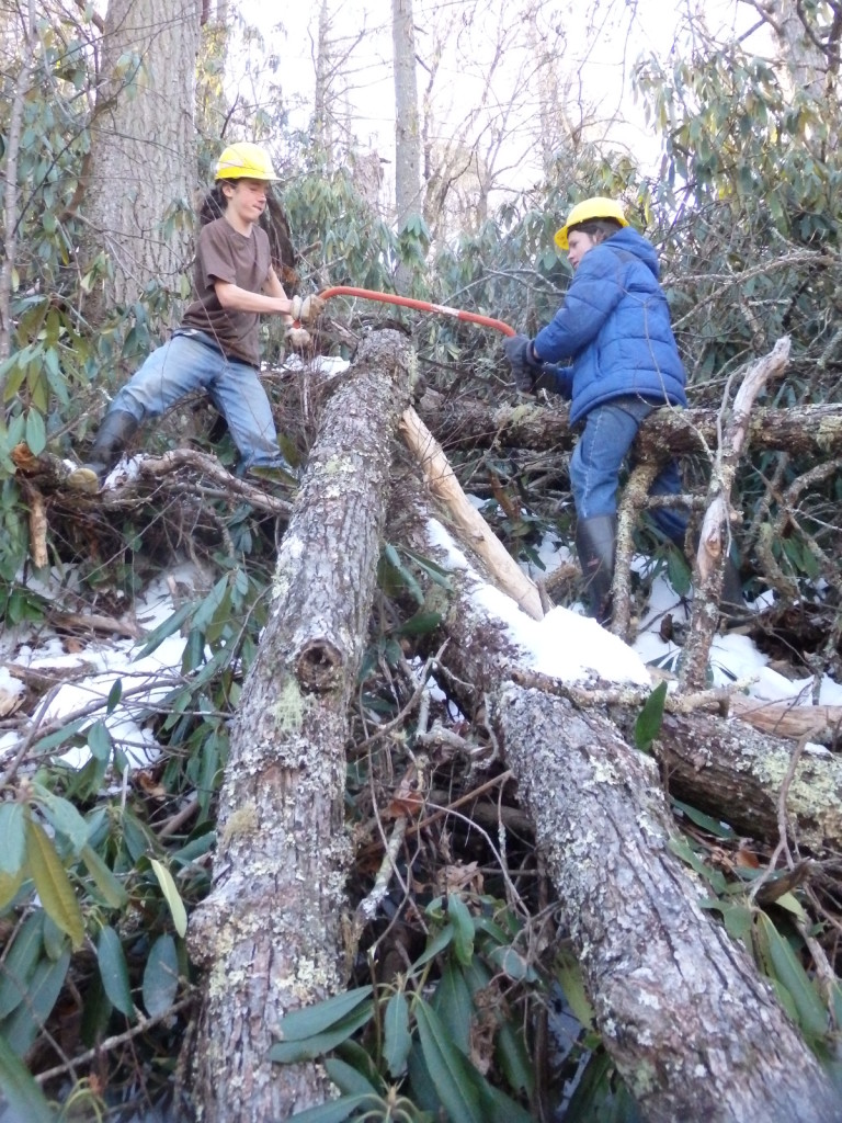 trail work linville gorge