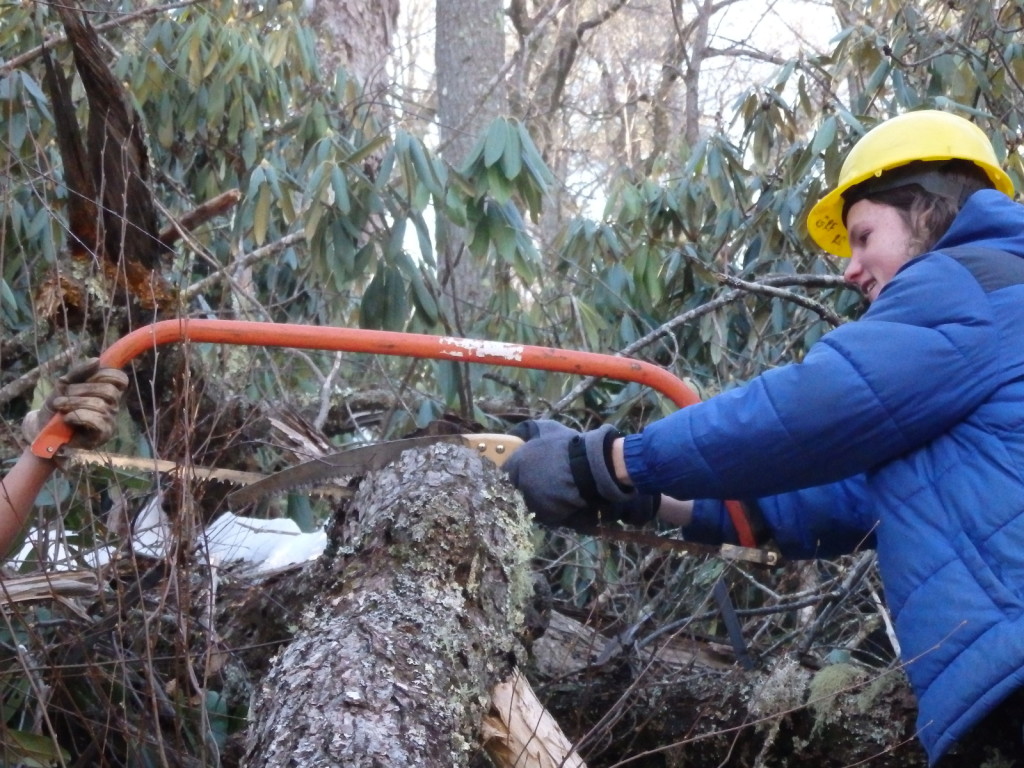 trail work linville gorge