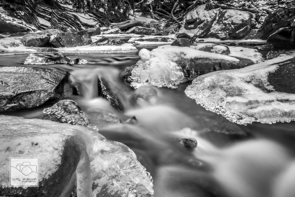 Dugger's Creek in Linville Gorge. (Photo: Cathy Anderson)