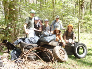 tires Linville Gorge