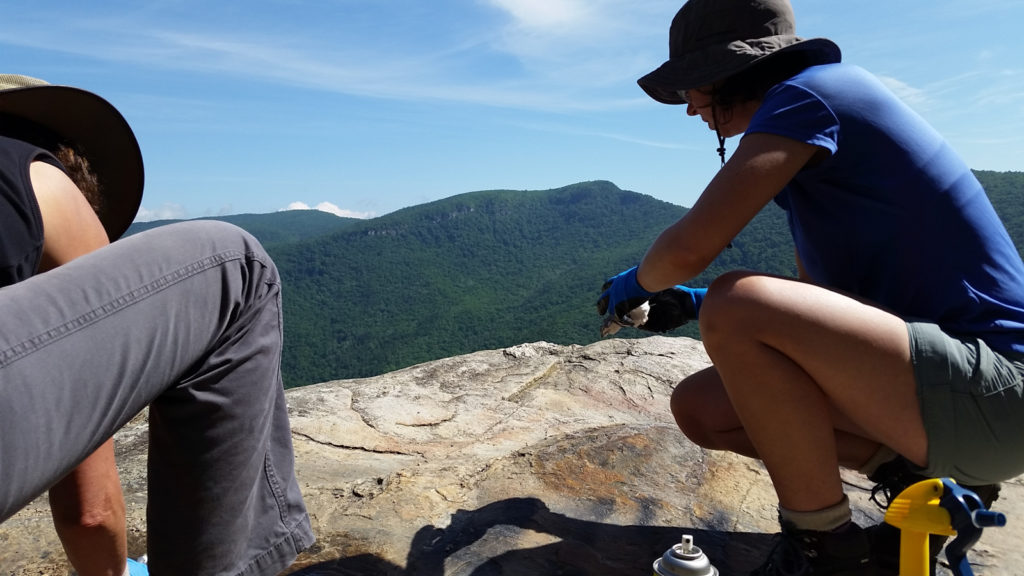 Removing Graffiti at Wiseman's View 