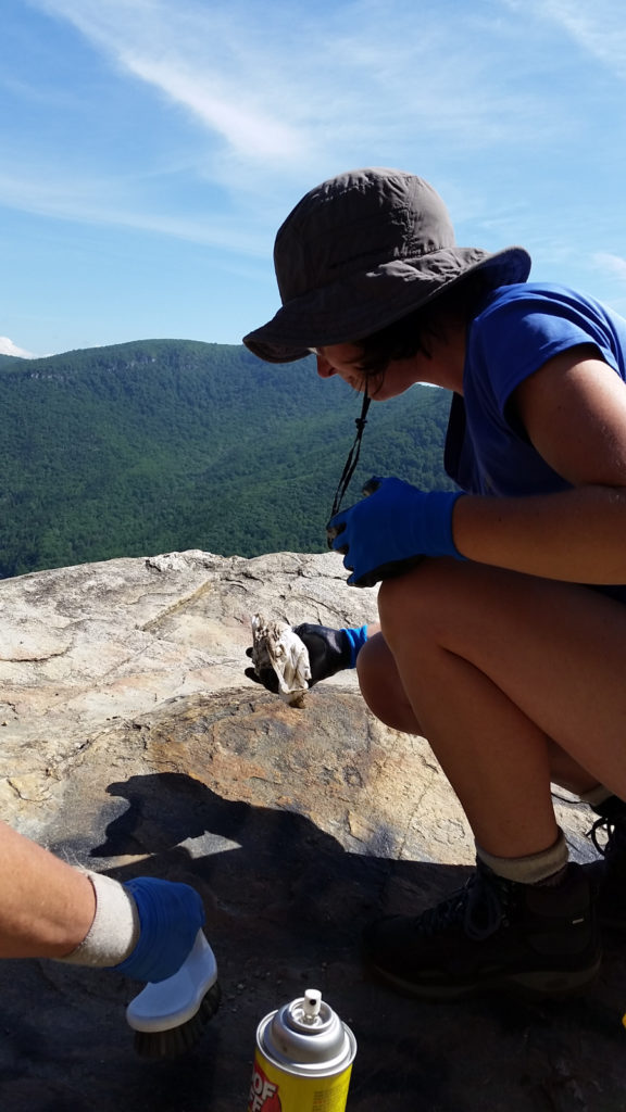 Removing Graffiti at Wiseman's View 