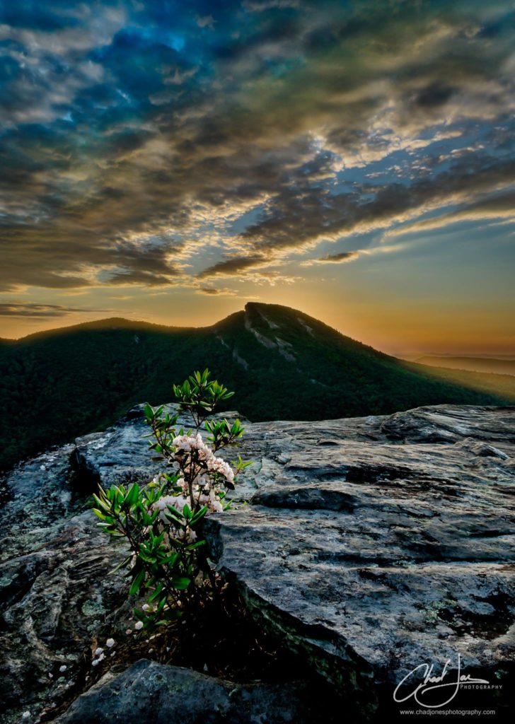 Sunrise from Wiseman's View in Linville Gorge. (Photo: Chad Jones)