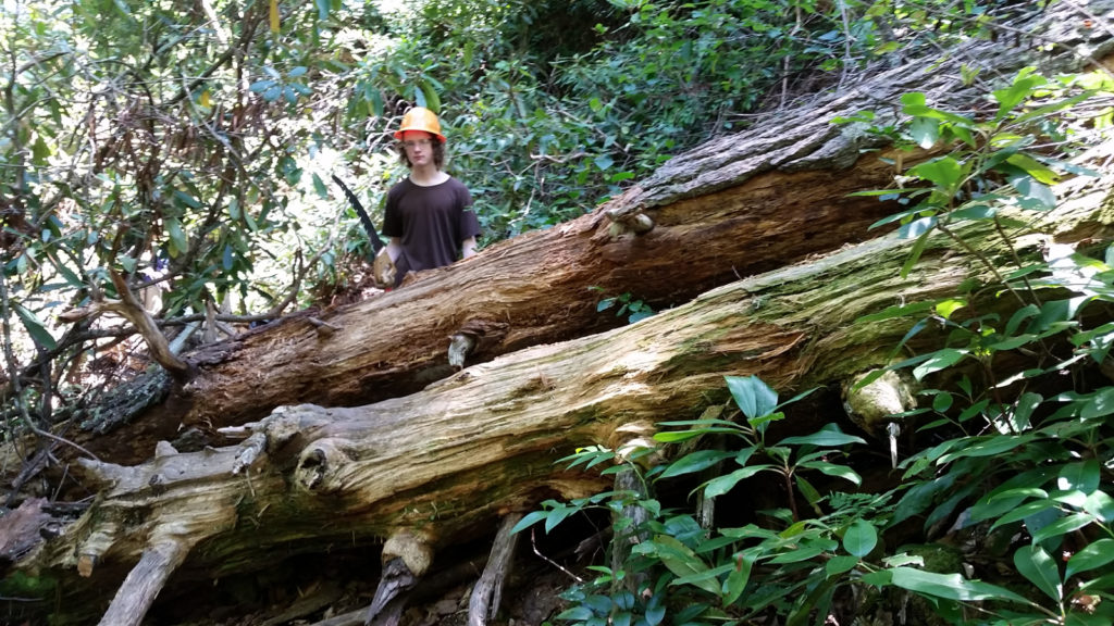 Trail work on Pine Gap.