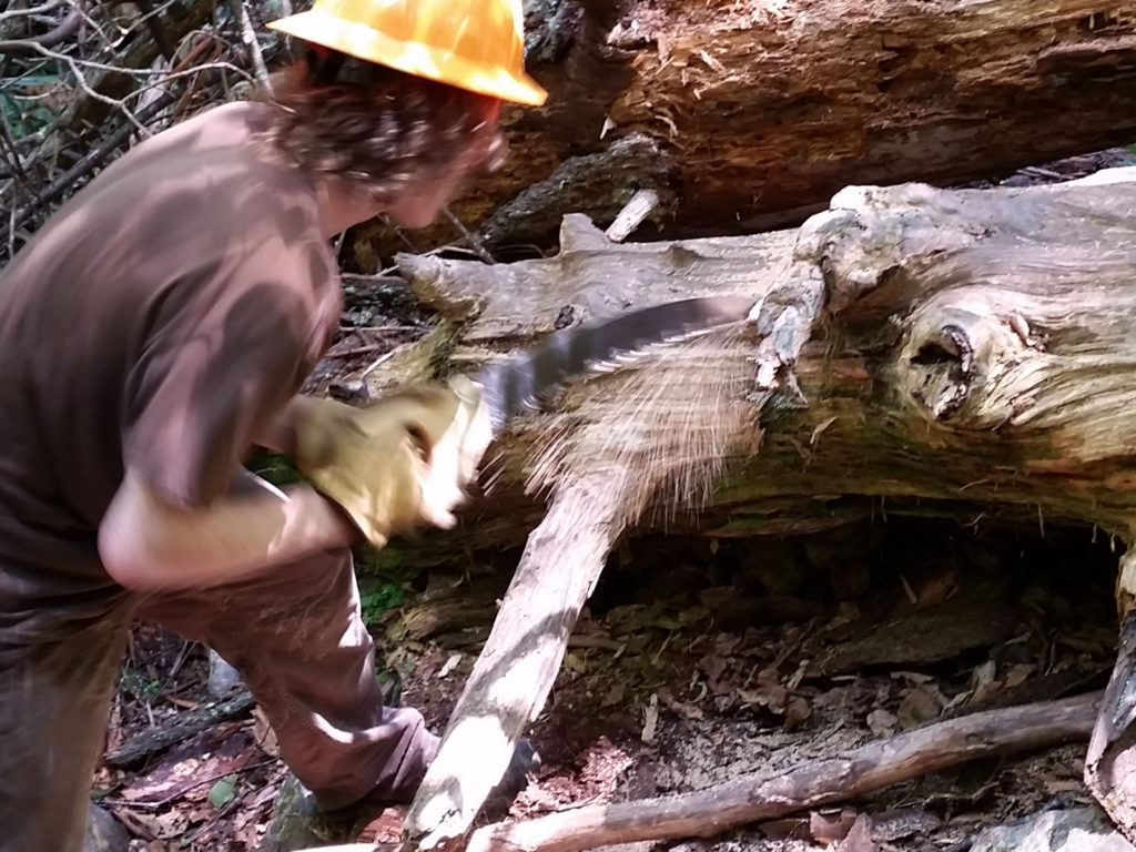 Trail work on Pine Gap.