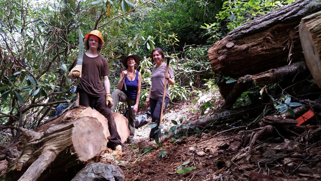 Trail work on Pine Gap.