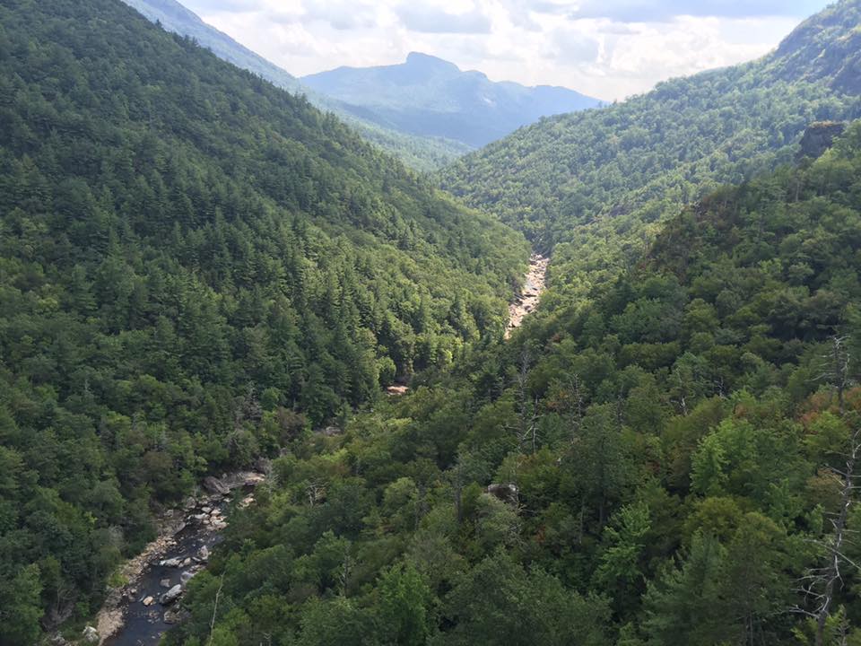 View Hawksbill and Linville River from Babel Tower in Linville Gorge. (Photo: Tim Todd)