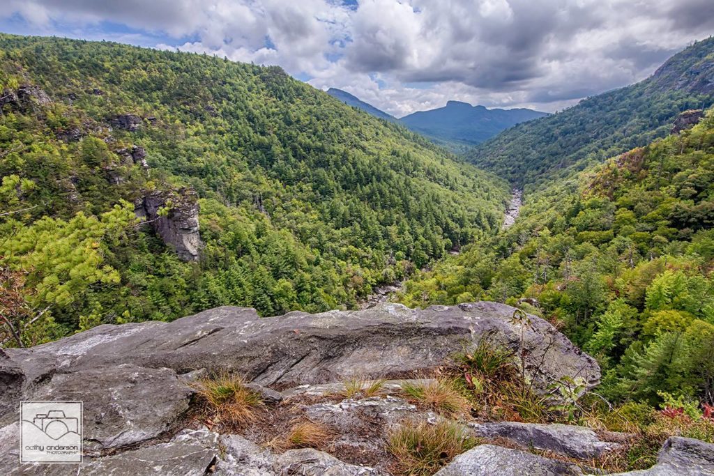 Looking south from the top of Babel Tower in Linville Gorge. (Photo: Cathy Anderson)