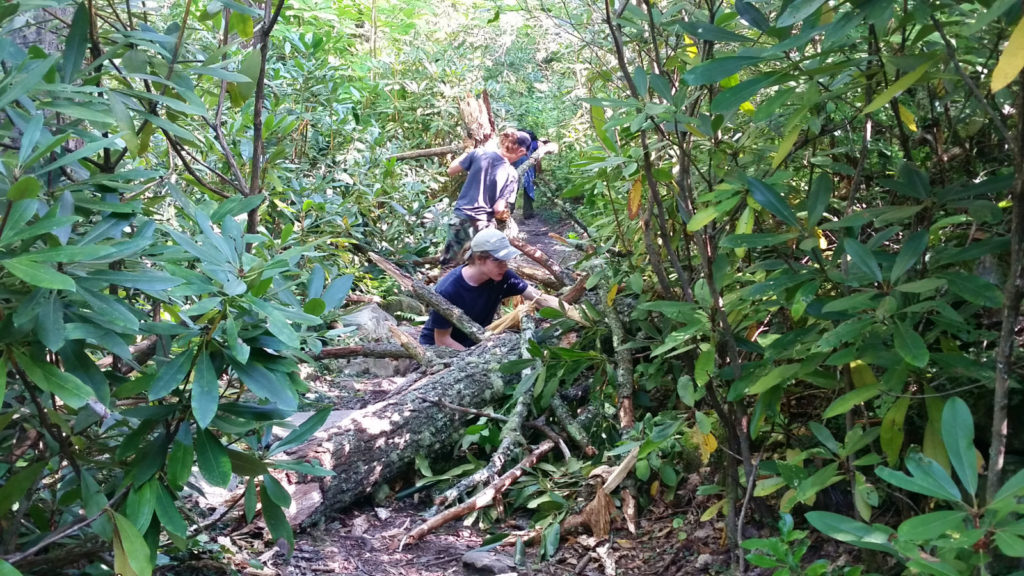 Clearing fallen hemlock on Babel Tower Trail.