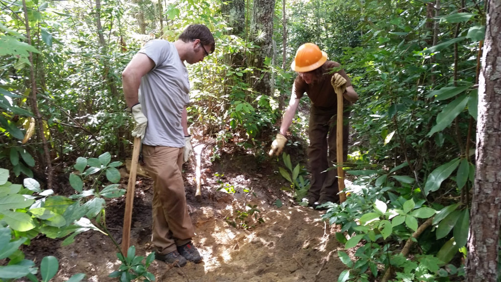 Trail Work on Babel Tower Trail in Linville Gorge