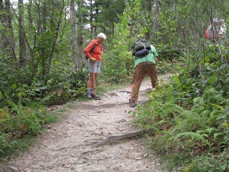 Friends of the Mountains to Sea Trail working near the Chimneys in Linville Gorge