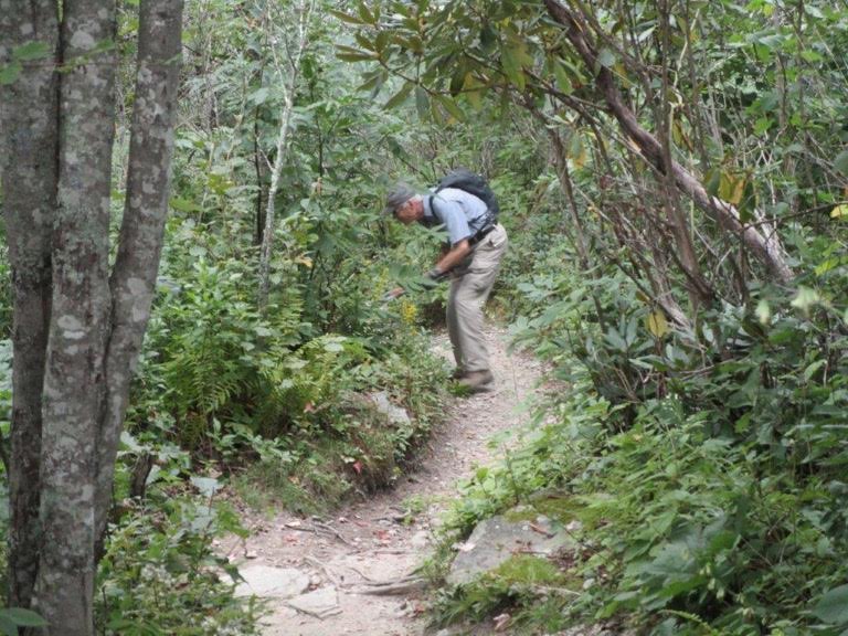 Friends of the Mountains to Sea Trail working near the Chimneys in Linville Gorge