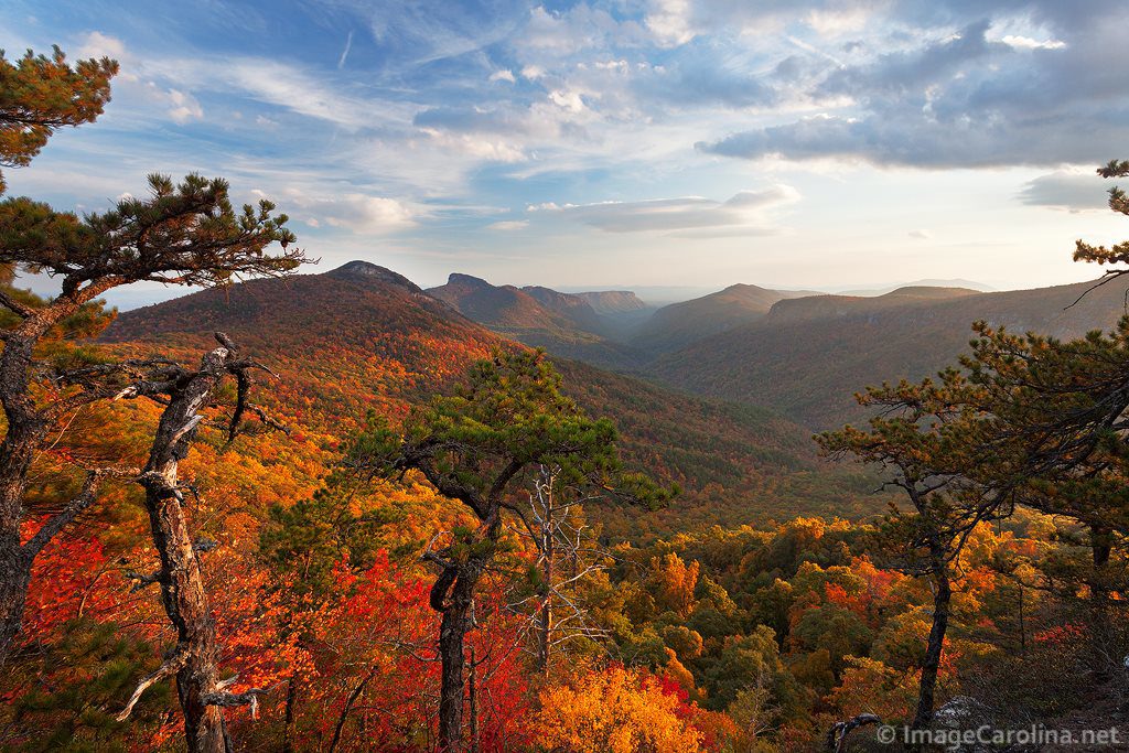 Fall colors in Linville Gorge. (Photo: Daniel Burleson)