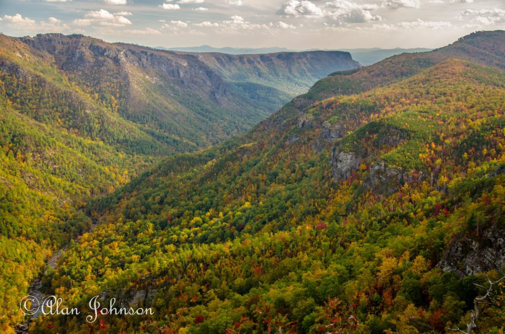 Leaves just now changing colors on the south end of Linville Gorge. (Photo: Alan Johnson)