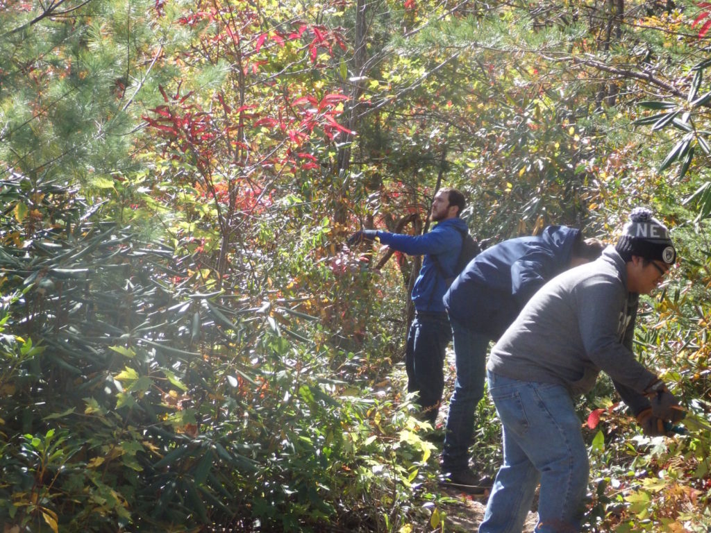 Rock Jock trail crew. (Photo: Nicholas Massey)