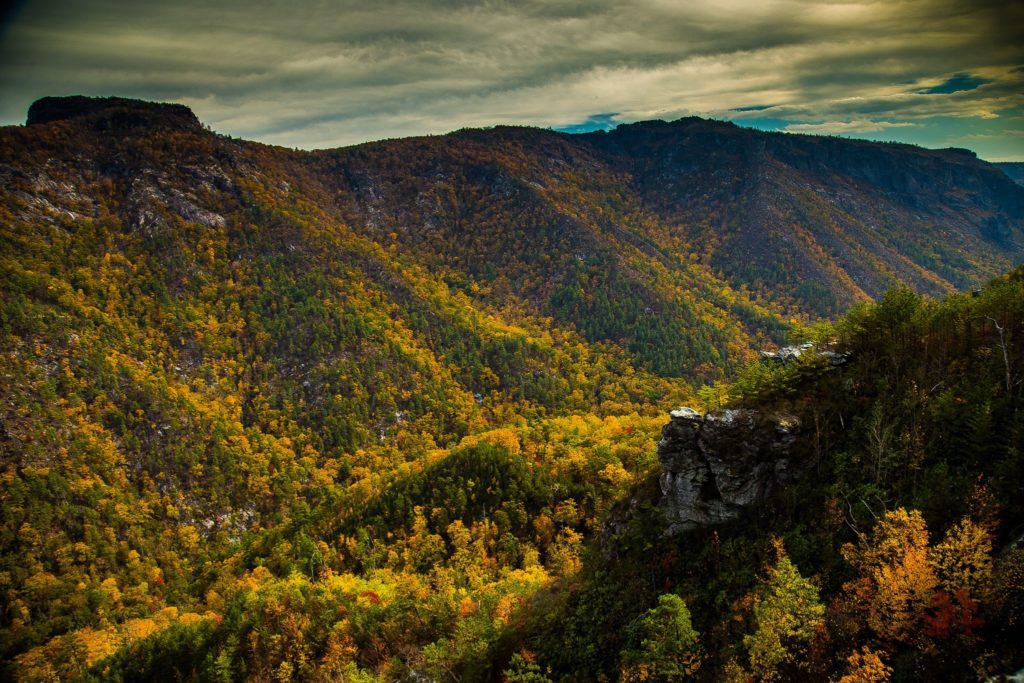 Fall colors from Buzzards Point (Photo: Dillon Senn)