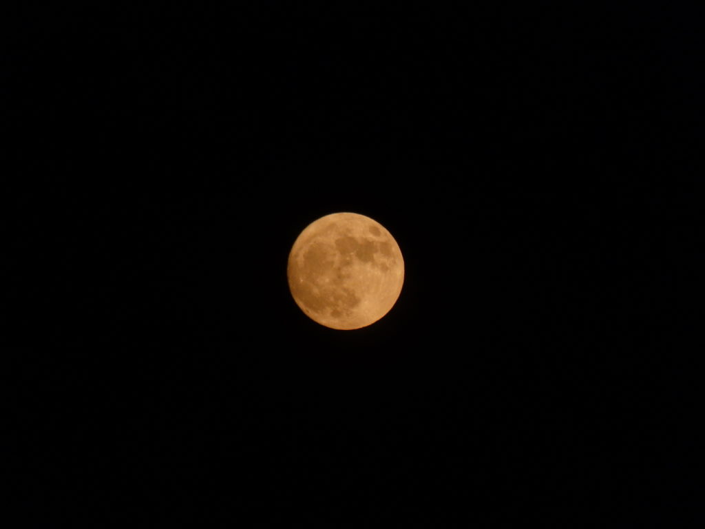 The moon (Photo: Nicholas Massey)