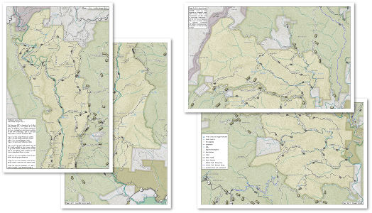 Linville Gorge / Lost Cove / Harper Creek PDF