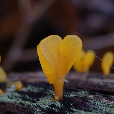 Photos of the Day: October 13, 2014