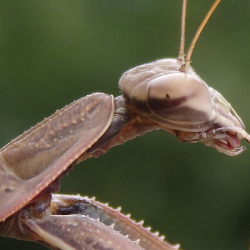 Photos of the Day: August 30, 2015