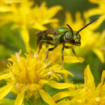 Photos of the Day: August 26, 2015