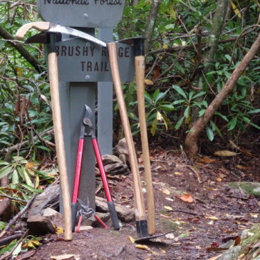 Trail Work on Brushy Ridge