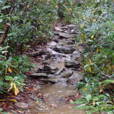 VIDEO: Does this trail have water problems?