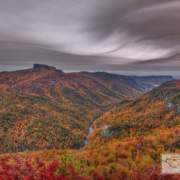 Photos of the Day: November 5, 2015