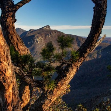 Photos of the Day: November 29, 2015