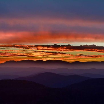 Photos of the Day: November 25, 2015