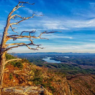 Photos of the Day: November 20, 2015