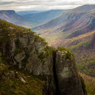 Photos of the Day: December 2, 2015
