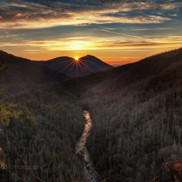 Photos of the Day: December 1, 2015