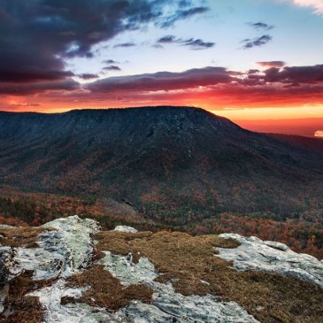 Photos of the Day: November 12, 2015