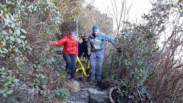 Wild South, USFS, & NCOBS Protect Rare Plants in The Chimneys