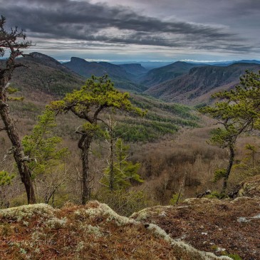 Photos of the Day: December 31, 2015