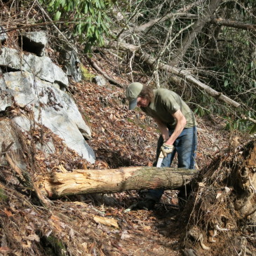 Clearing Fallen Hemlocks from LGT