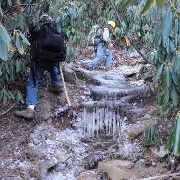 Wild South Working Pine Gap Trail