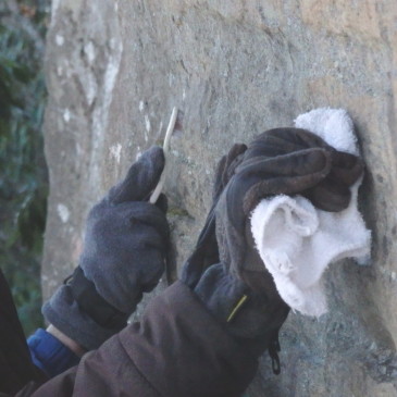 Graffiti Removal on Hawksbill