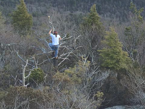 Out on a Limb for the Gorge