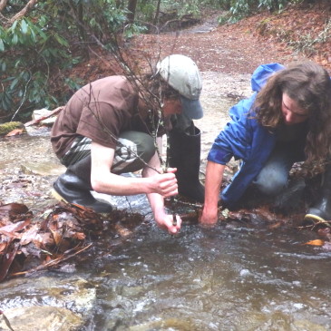 Cleaning Clogged Culverts at Linville Falls