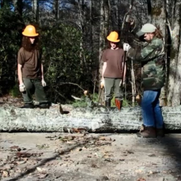 Fallen Tree on the Kistler