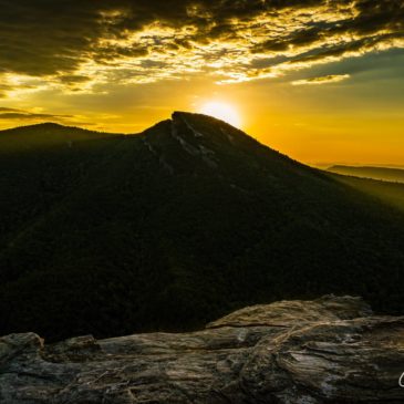 Photos of the Day: July 24, 2016