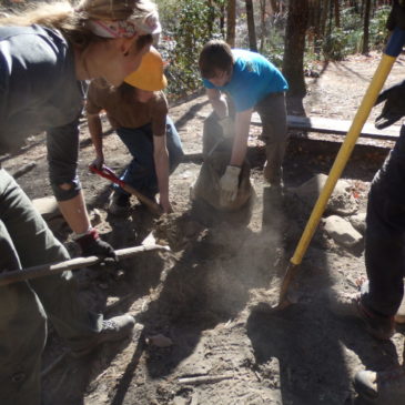 Conley Cove Campsite Cleanup