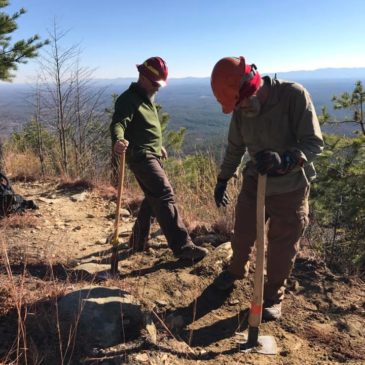 3rd Annual Wolfpit Work Day