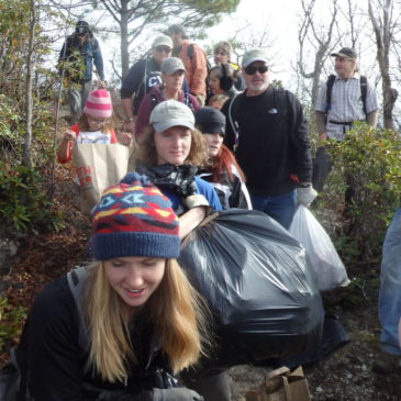 Community Cleanup on Pinnacle